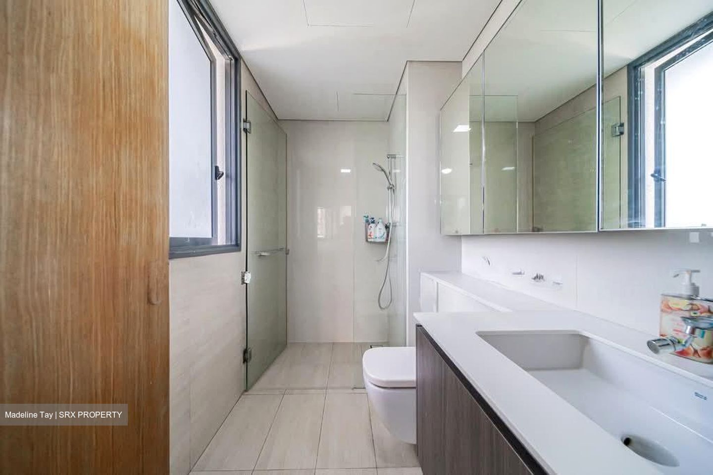 Lakeville (D22), Condominium #582310751